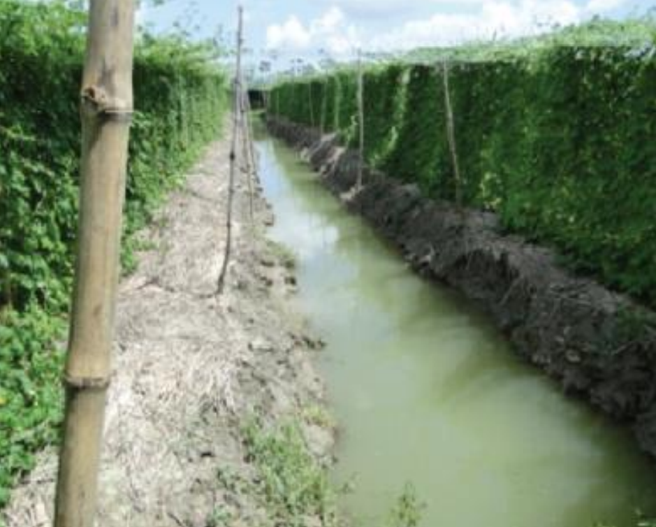 Land Shaping technology : Deep Farrow Ridge